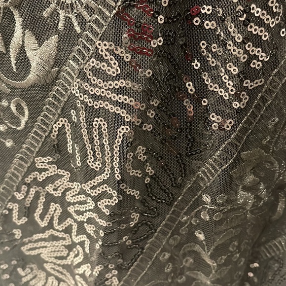 NWT XS BCBG sheer embroidered & sequined dress with black slip dress underneath - Picture 7 of 9